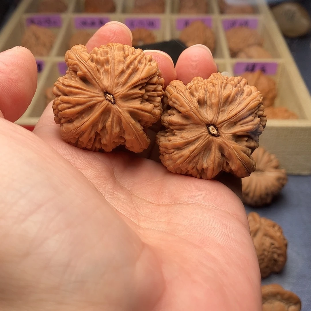 二****文玩核桃把件虎头王