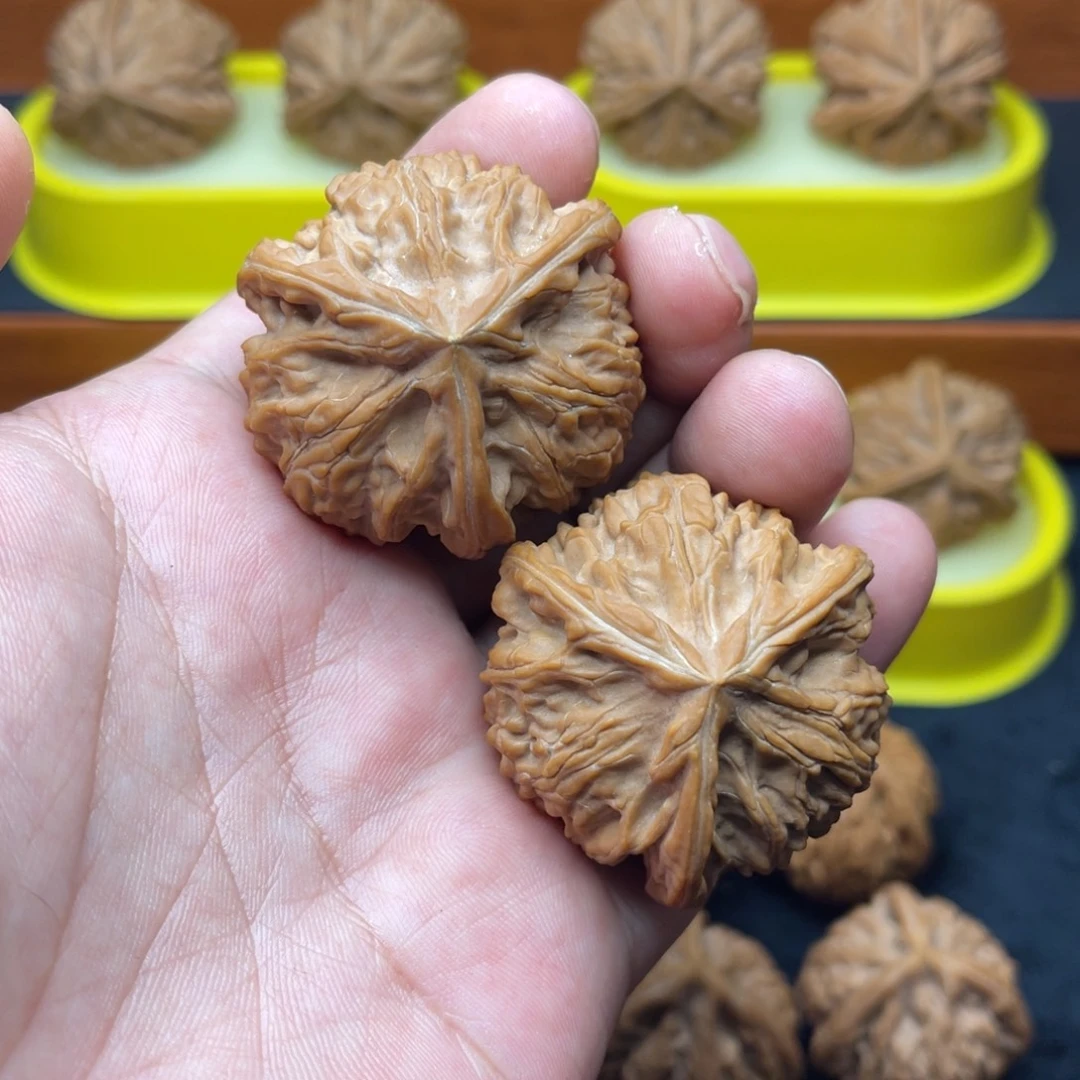 核桃手串/手链玉龙粗筋球奔全品44尺
