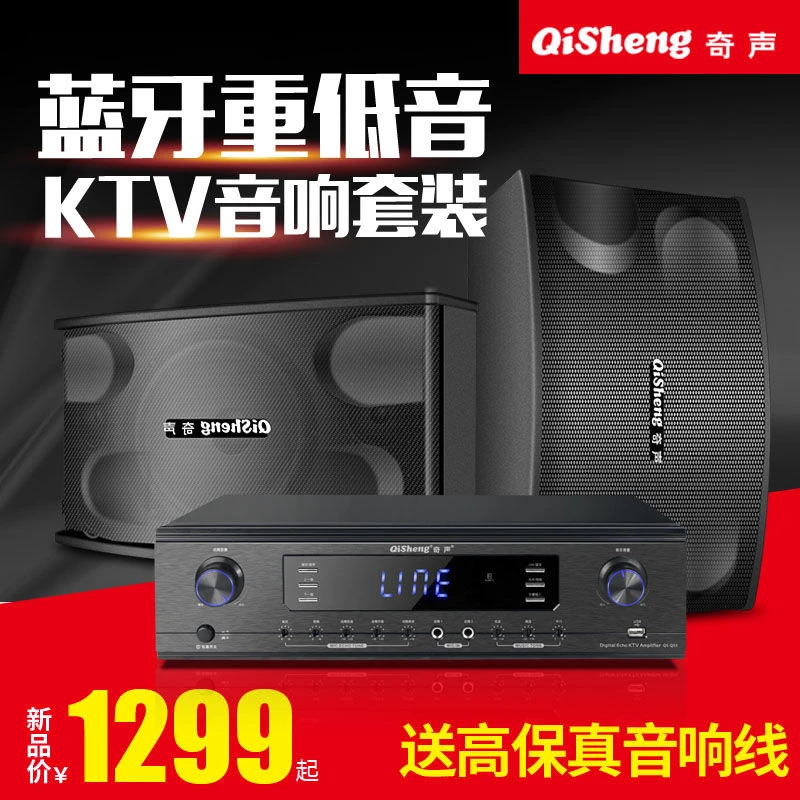 奇声官方旗舰店10寸家庭ktv音响套装全套功放机卡拉OK专业舞台箱
