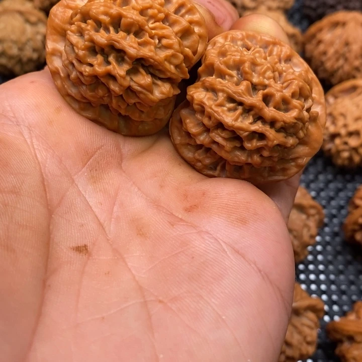秦岭赵赵文玩 秦闷38