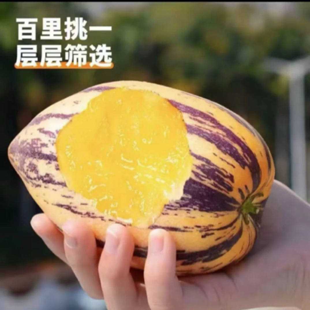 甘肃沙漠果新鲜黄心清甜多汁生态种植孕妇水果现摘现发果肉金黄清