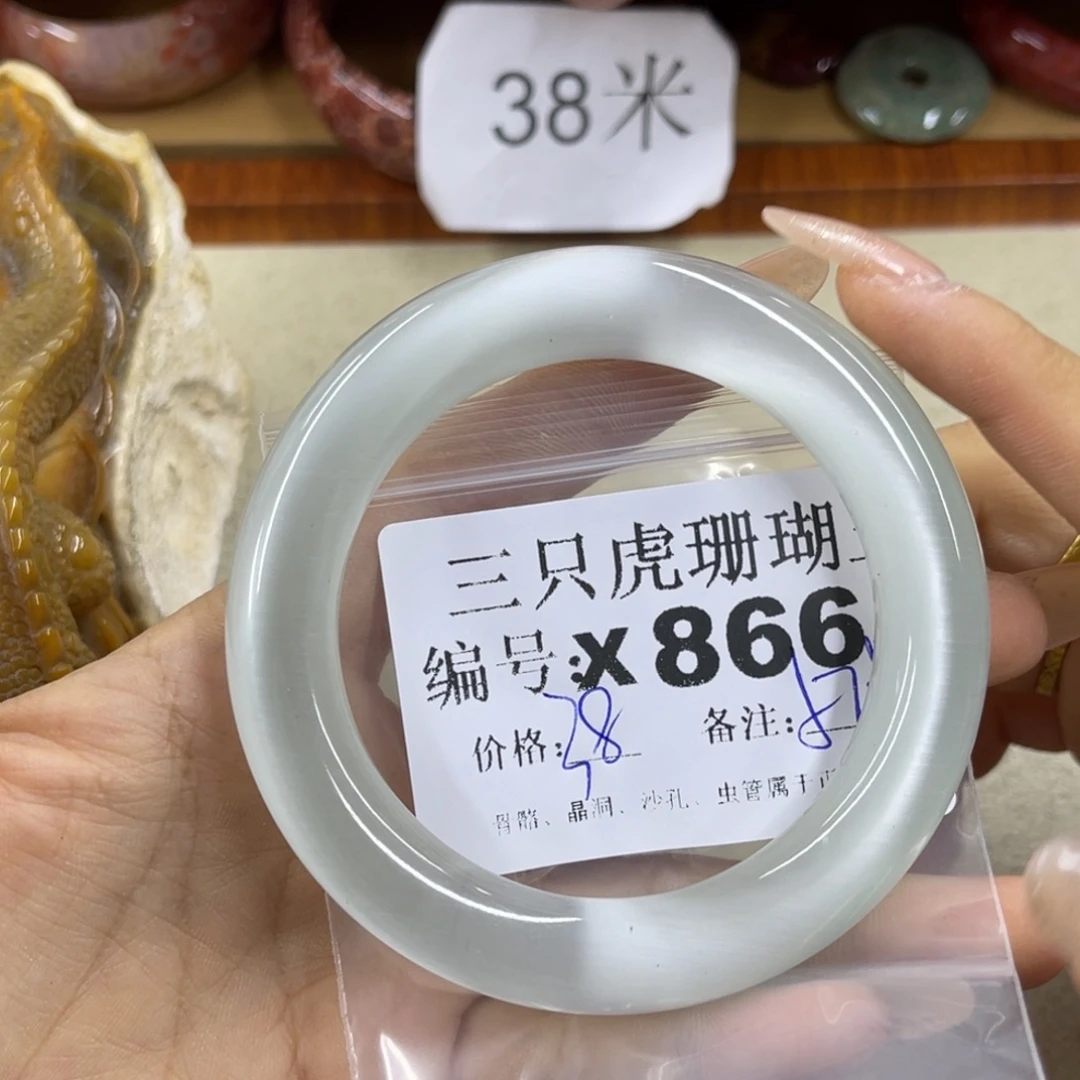 崔***芬硅化珊瑚（珊瑚玉）未镶嵌h