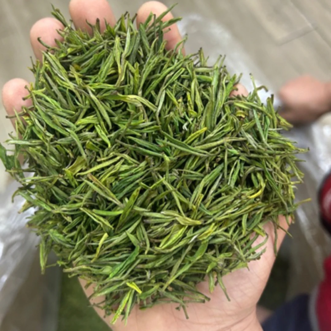 【安吉白茶】2025年安吉白茶高货兰花香馥郁