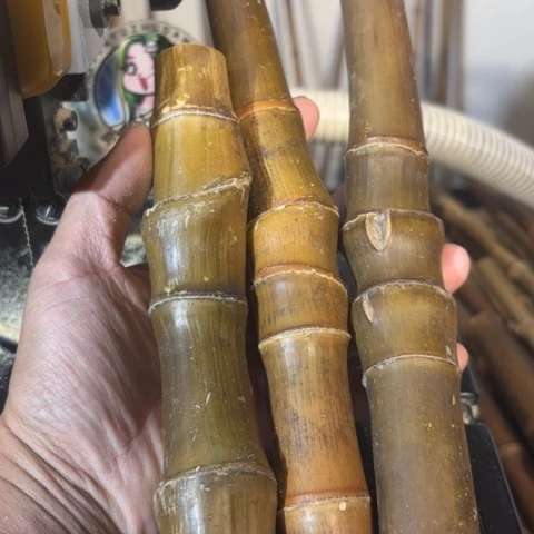 贺***实心竹竹竹竹竹竹竹竹竹竹竹