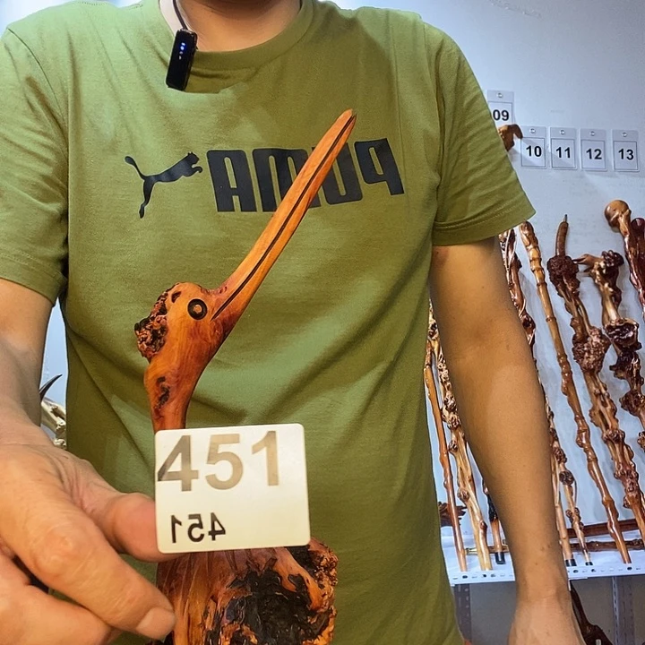 新***元黑果木云南给果木树榴摆件