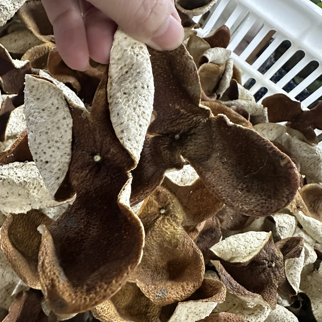 2024年广东新会梅江冬后陈皮花香浓郁蜜香回甘泡茶泡水佳品