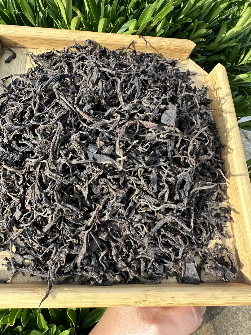 2009年普洱古树生茶（散茶）