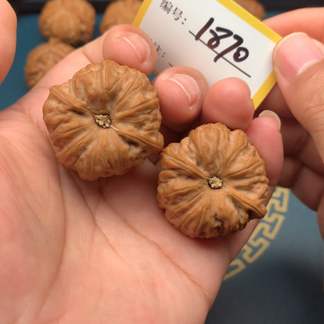 把件文玩核桃37.5全品玄龙凹底1870