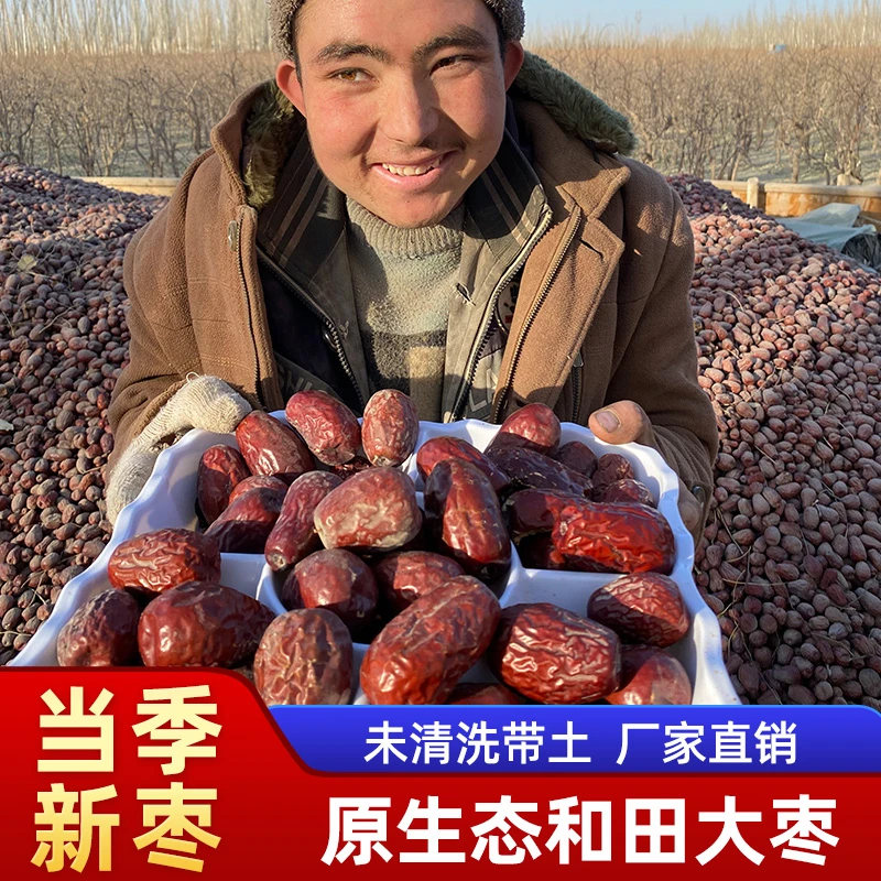 【新疆直发】新疆和田大枣带土带灰原生态树上吊干