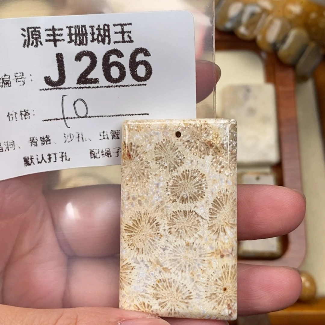 硅化玉颈饰未镶嵌大*子