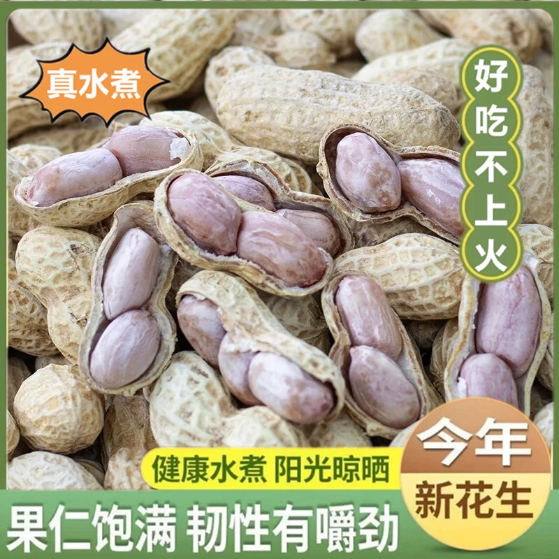 新货【真水煮】福建龙岩特产水煮花生白晒咸干带壳太阳日晒下酒零食