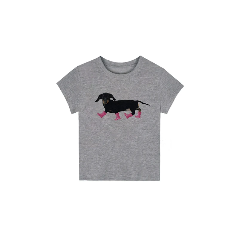 2025夏季新款天丝冰感身短袖女