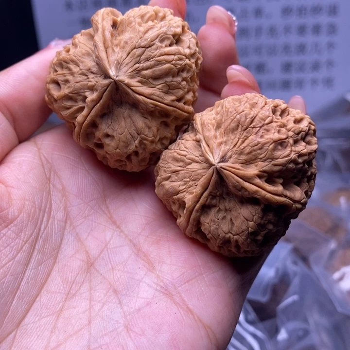 核桃云南野生铁核桃3号42mm