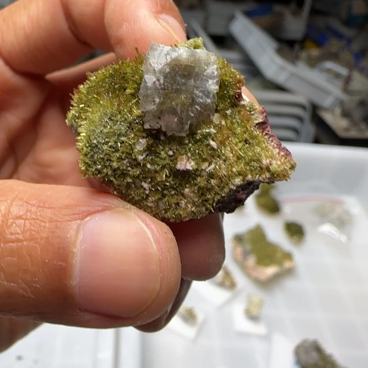 昌化石印石原石料