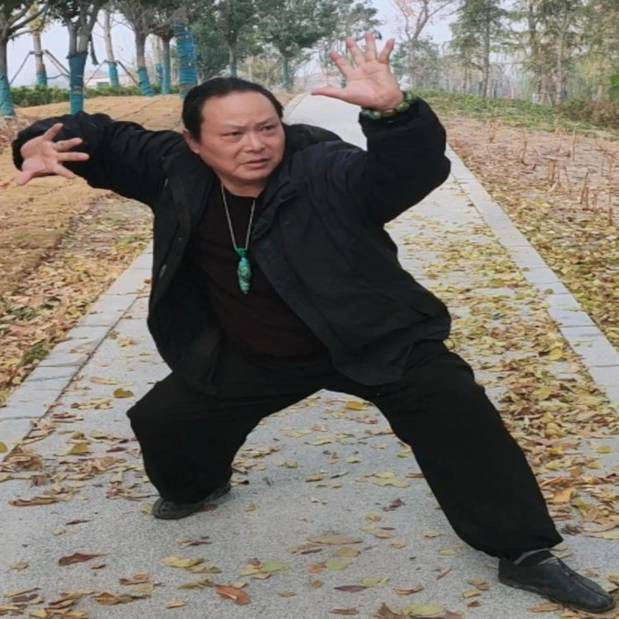 大成拳混元桩心法核心完整版（共8个视频）23