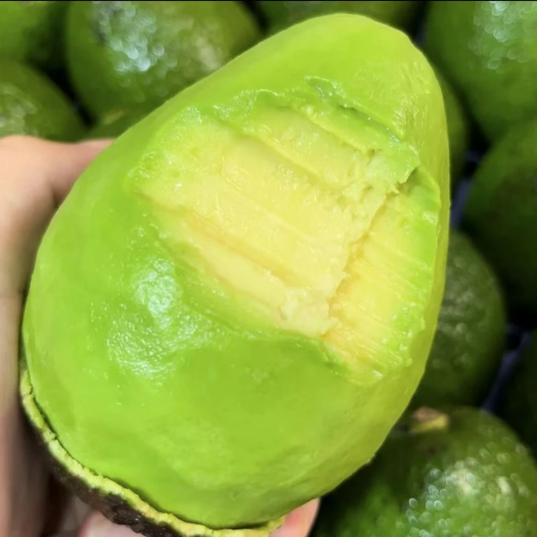 云南哈斯品克顿牛油果软糯绵密新鲜应季水果