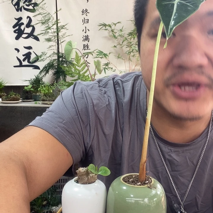 以实际为准退款拉黑拉黑34