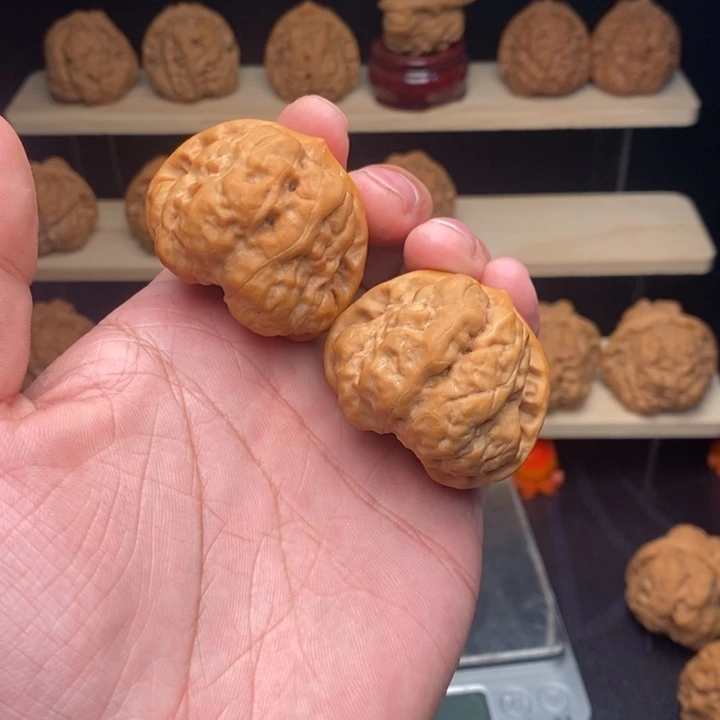 核桃蛤蟆头42尺大蹬腿