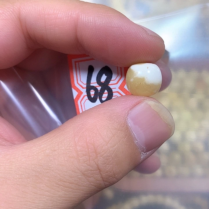 裸石琥珀未镶嵌12