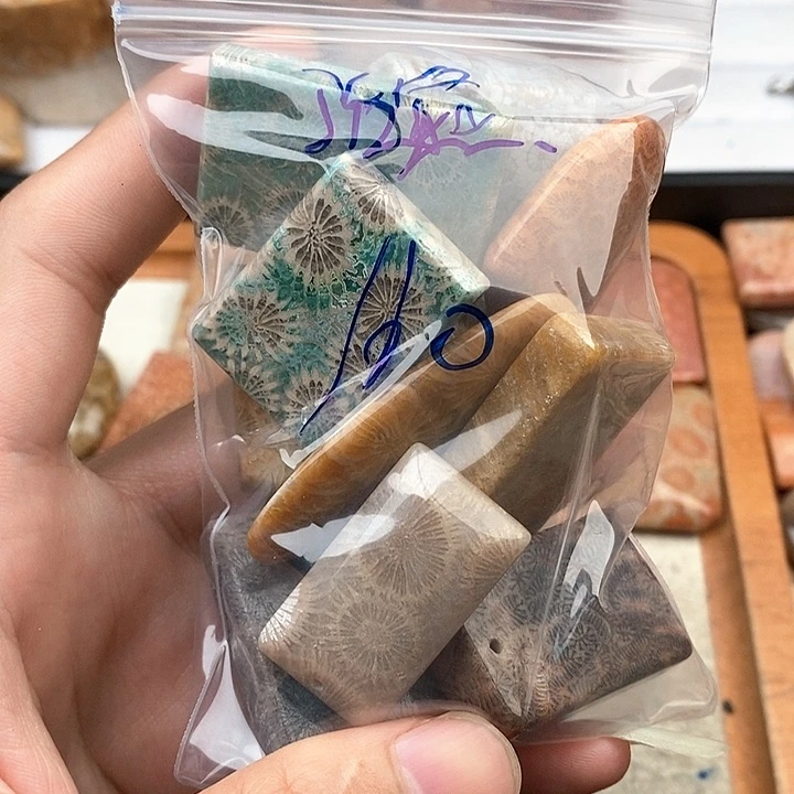 硅化玉颈饰未镶嵌治****姐