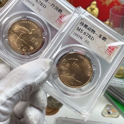 其他普通金属动物朱丹评级，，，，