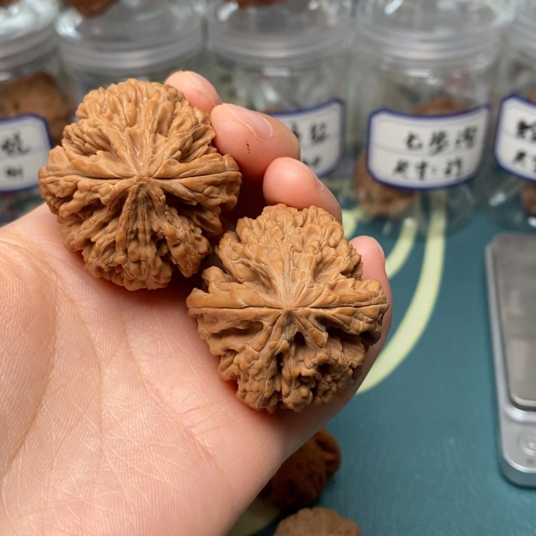 核桃39尺全品圣火令