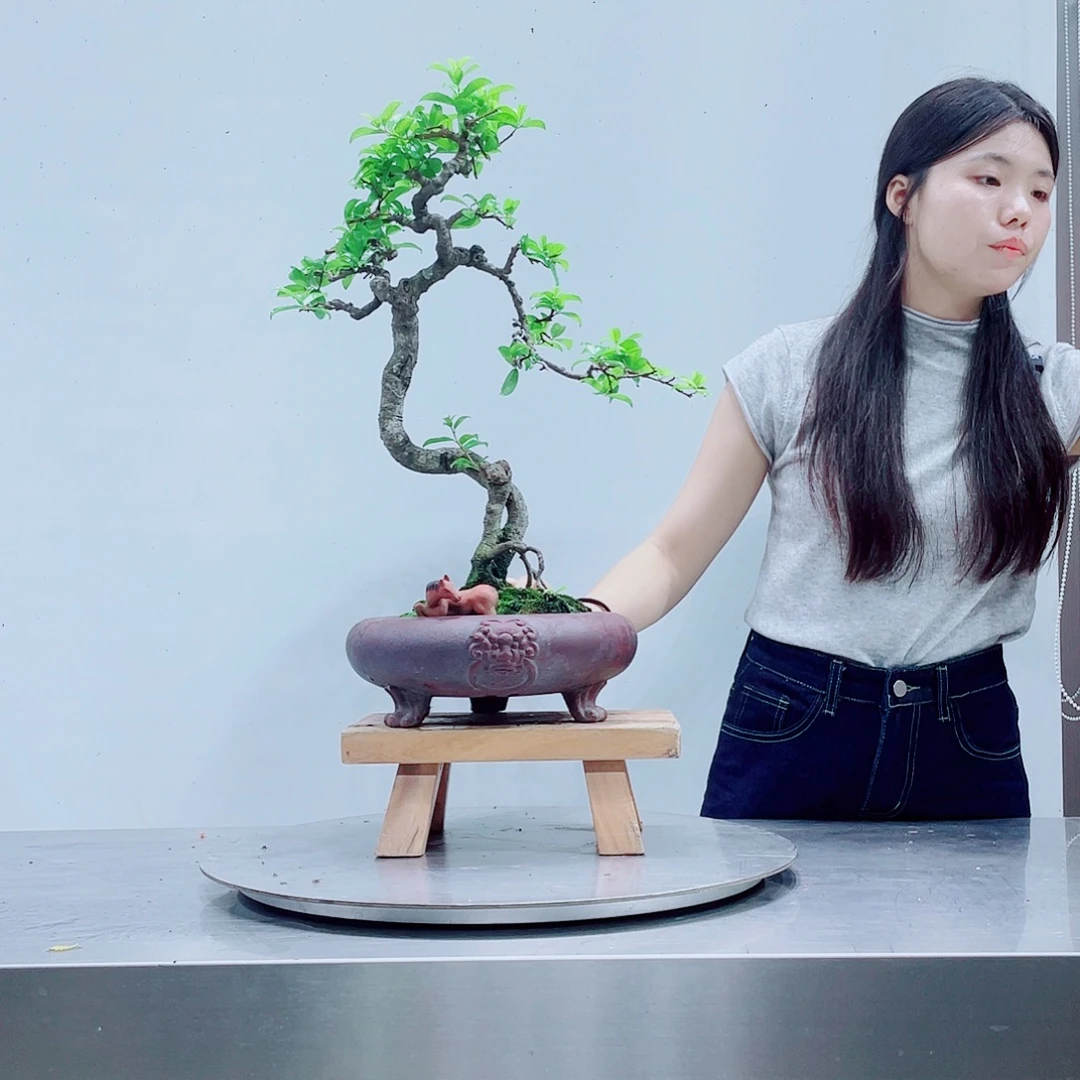 →***名盆景艺术学院美术学院油画