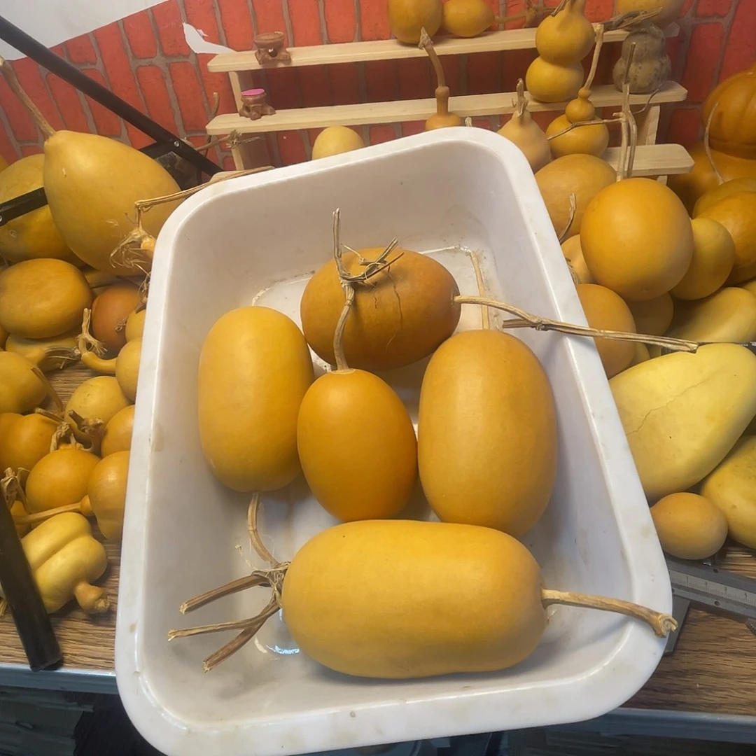 南***喃羊羔毛哈哈哈哈哈哈哈哈