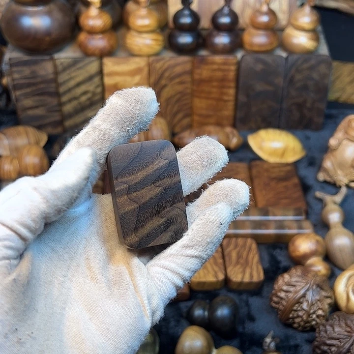 楠木金丝楠木小叶