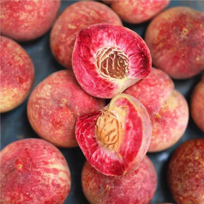 【顺丰包邮】老树血桃老品种当季新鲜水果3/5斤装软糯果园现摘现发