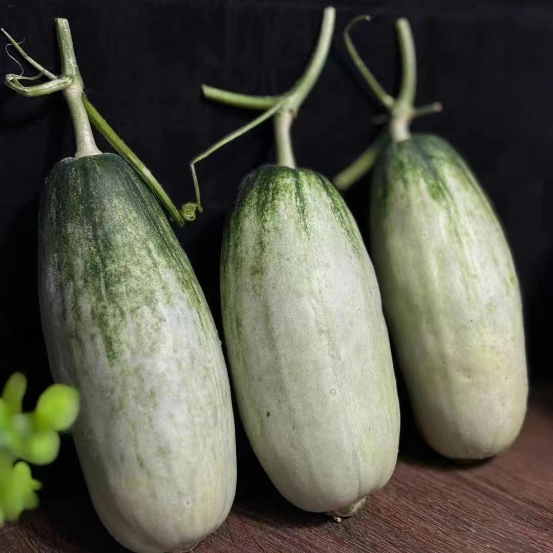 海南蜜园18号蜜瓜一件5斤