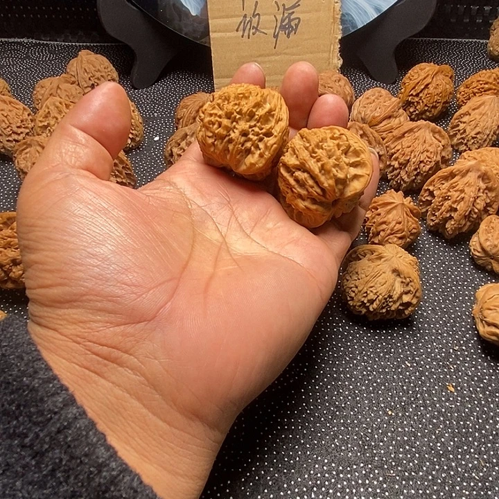 v***v老麦穗虎头福利放漏