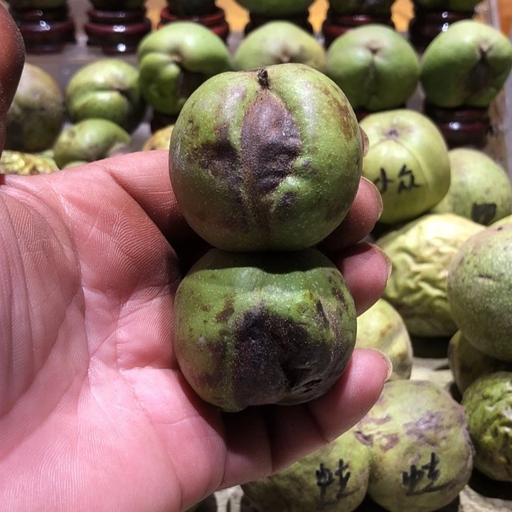 吊坠桃核核桃核桃