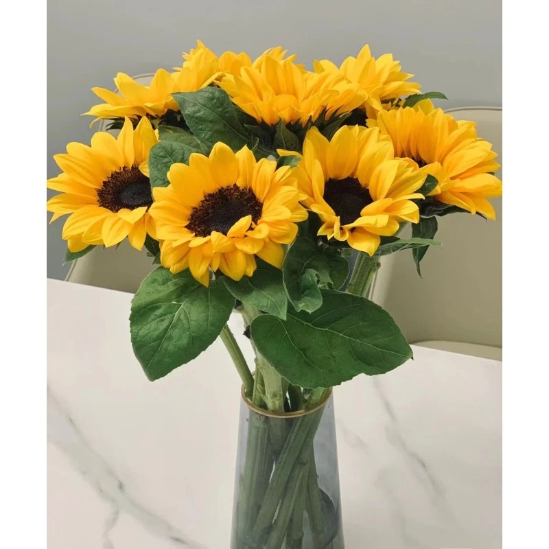 [向日葵 ]  任意2单顺丰/德邦 云南鲜花直发