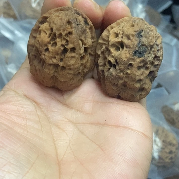 木质类云南铁核桃+2