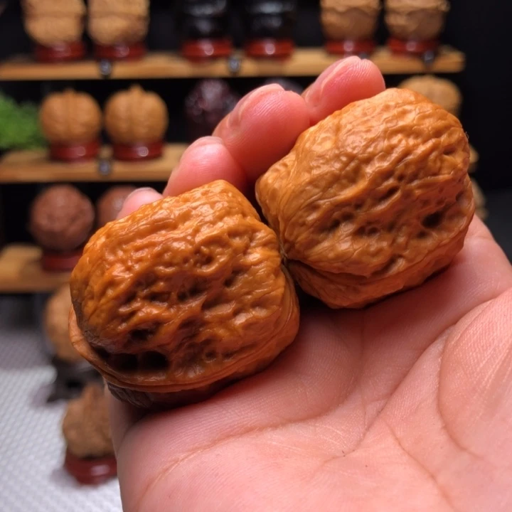 【闪购商品】龙脊妖蟾20