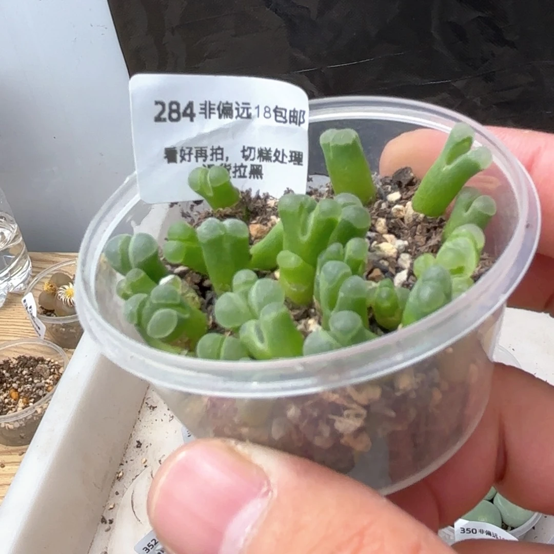 284号，极窗奶瓶，18包邮