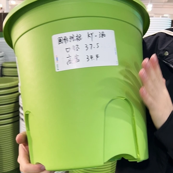 正品圆控口37.5高34果绿无托3只