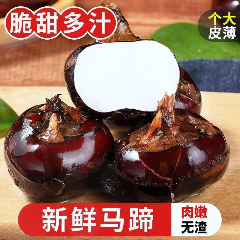 【次日达】新鲜头茬广西荔浦马蹄荸荠红皮水果马蹄3斤5斤包邮红皮马蹄