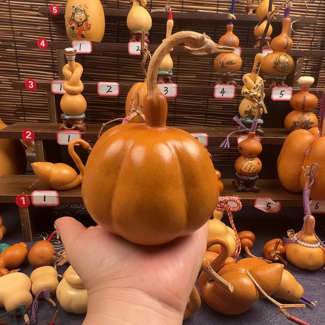 汐***屿哈哈哈哈哈哈哈哈哈哈哈哈
