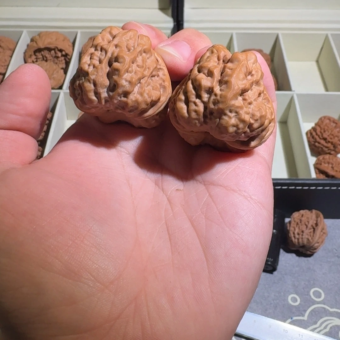 大叶紫檀（黑酸枝木类）