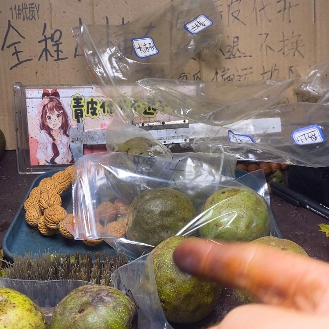 zwf产地直发四座楼99