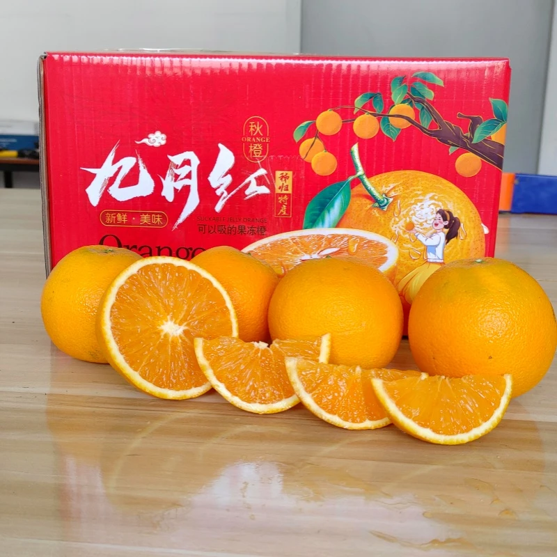 鲜逢其时秭归脐橙九月红果冻橙大果鲜甜橙子新鲜整箱10斤当季水果