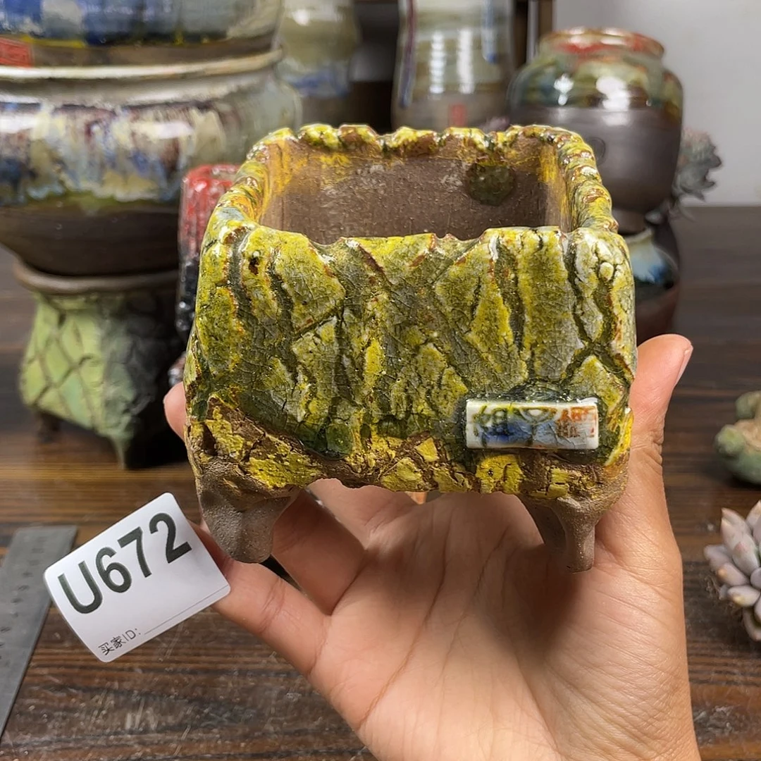 默认微次 元旦福利 坛子姐花盆