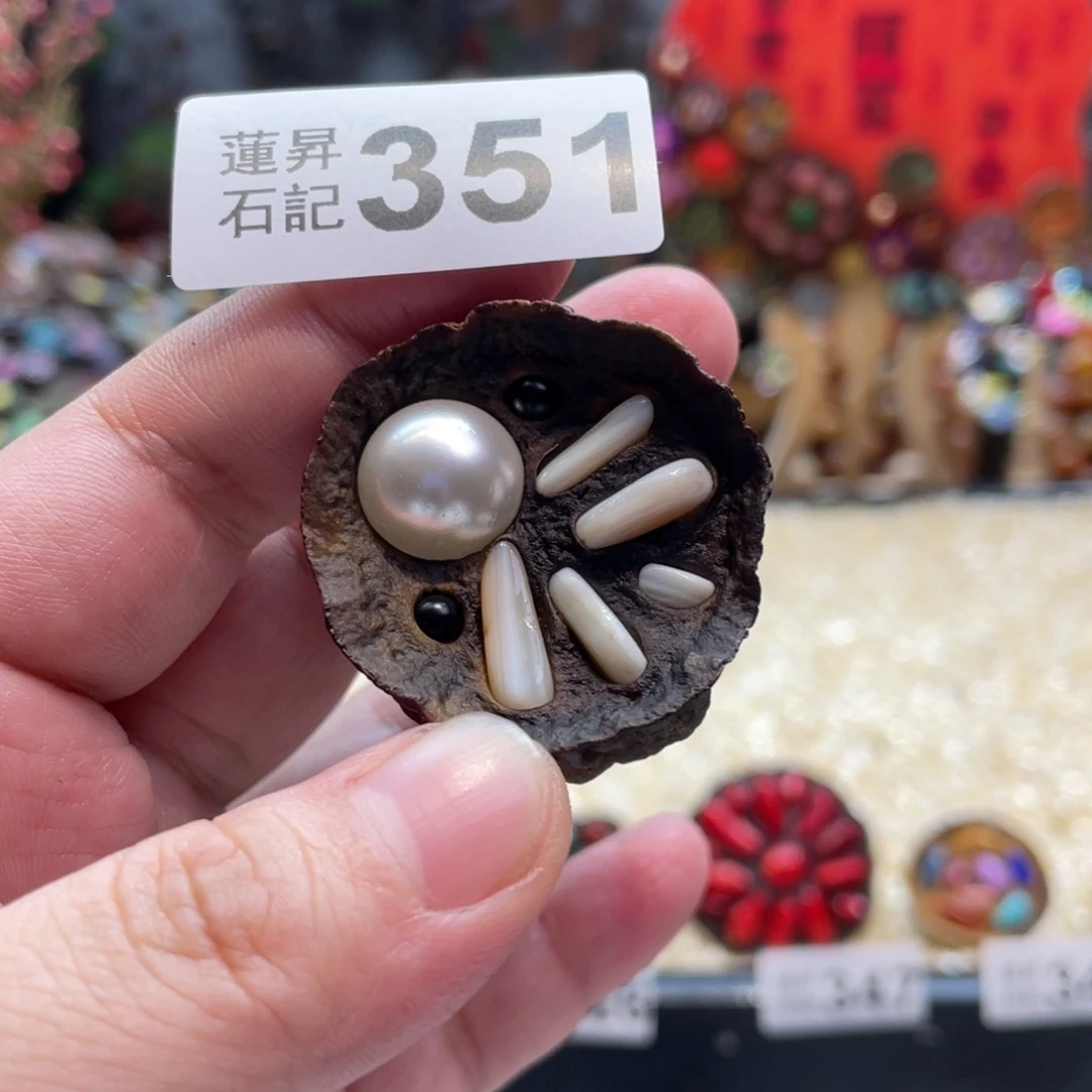 核桃木/黑胡桃（胡桃木）351