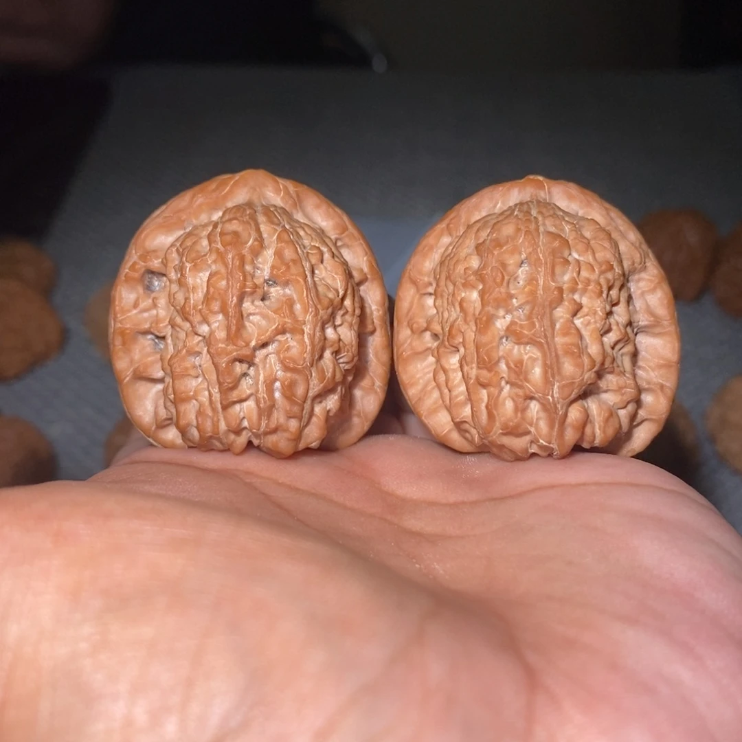 桃核吊坠40尺血麒麟