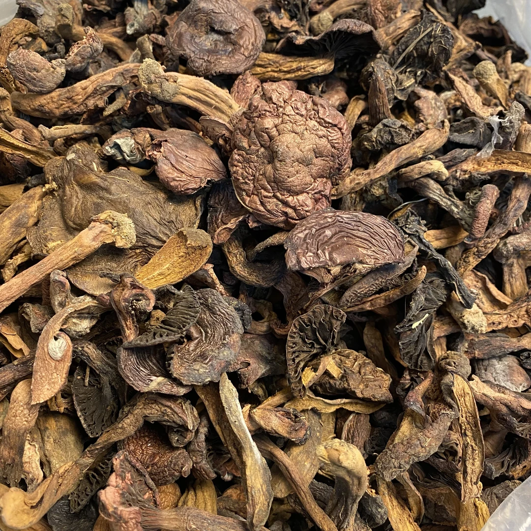 【肉（红）蘑半斤/一斤装】肉蘑干/承德野生红蘑(肉蘑)干/干货/山货/农民手采晾晒/今年新货菇蘑