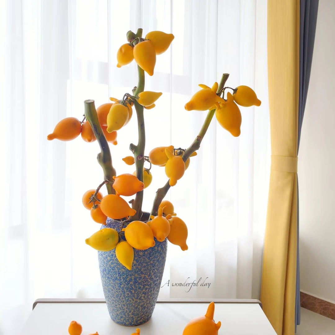 【年宵花系列】五代果乳茄小猪佩奇家养插花可爱年宵花（掉果不售后）