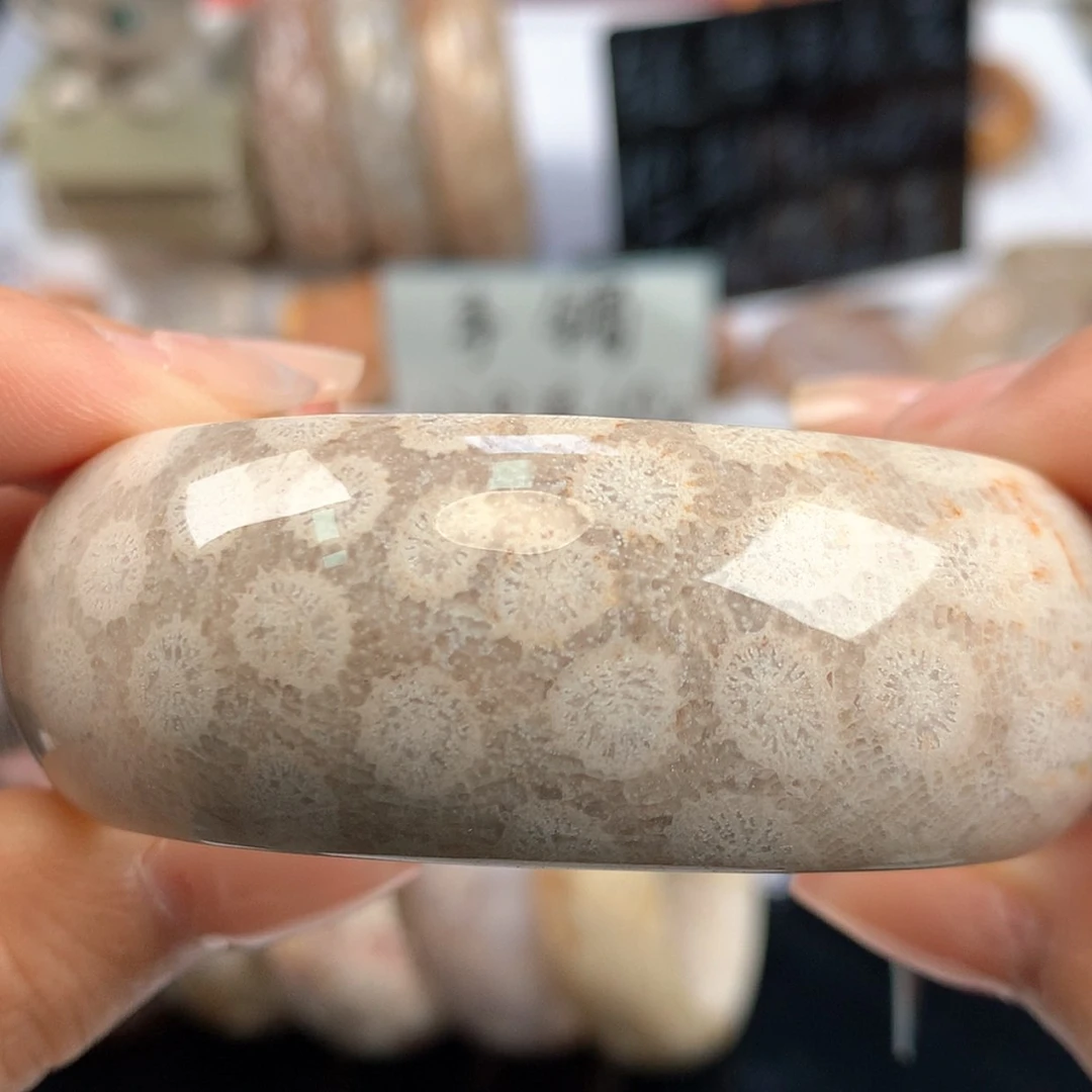 【闪购商品】硅化珊瑚（珊瑚玉）未镶嵌颈饰55.2口（11号）