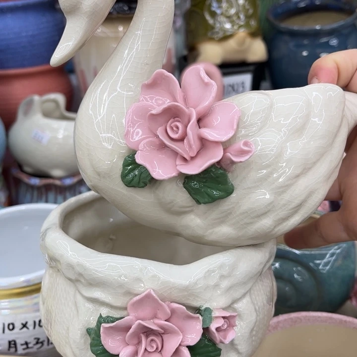 多肉植物陶瓷花盆